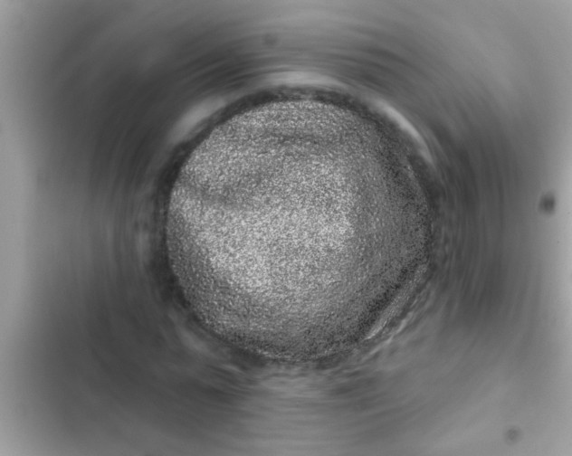 X0000102400775200808151942