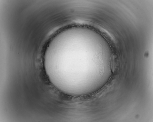 X0000102400776200808151942