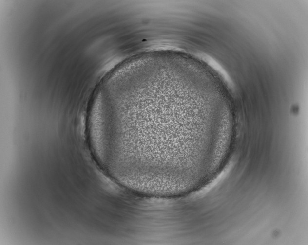 X0000102400777200808151942