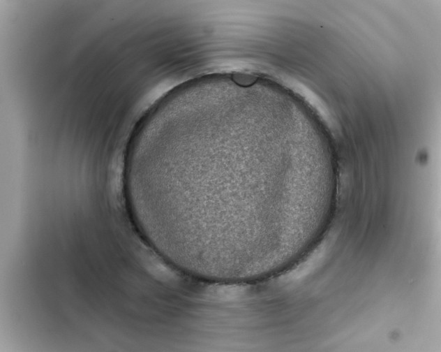 X0000102400778200808151942