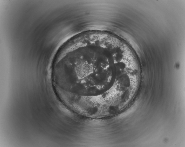 X0000102400779200808151942