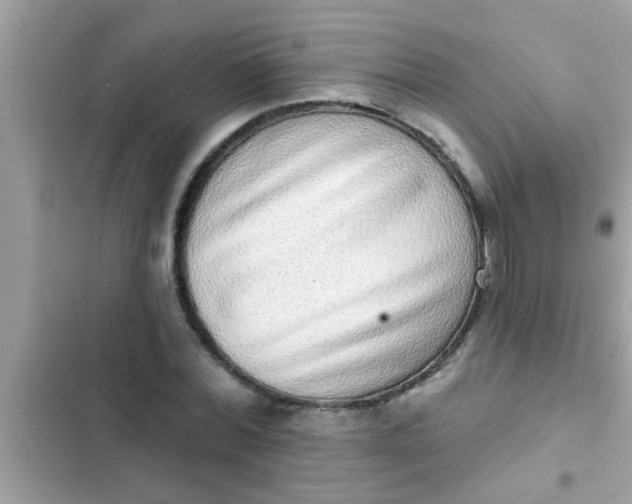 X0000102400780200808151942