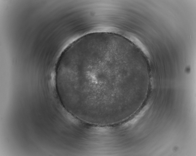 X0000102400781200808151942