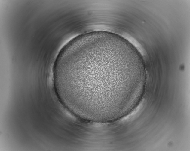 X0000102400782200808151942