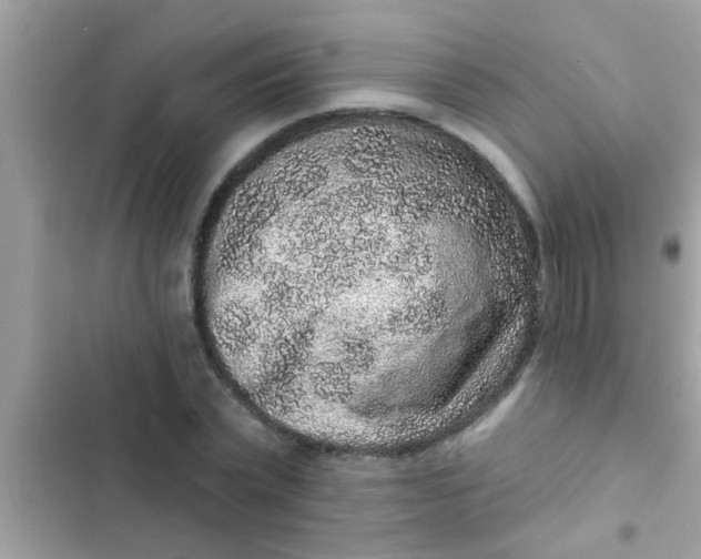 X0000102400783200808151942