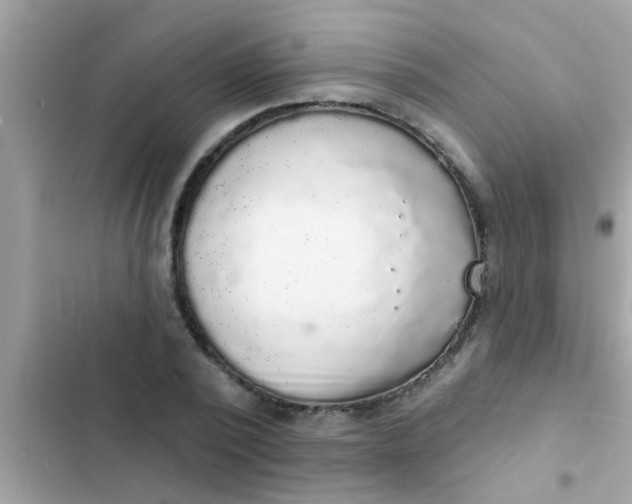 X0000102400784200808151942