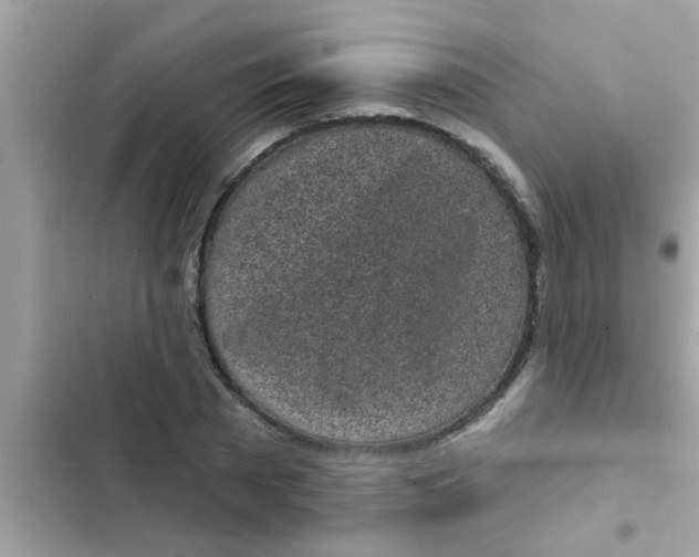 X0000102400785200808151942