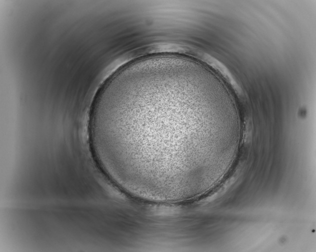 X0000102400786200808151942