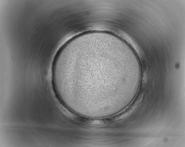 X0000102400787200808151942