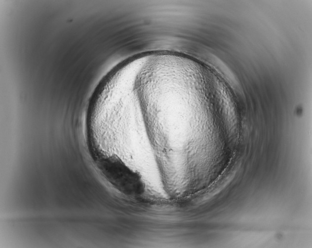 X0000102400788200808151942