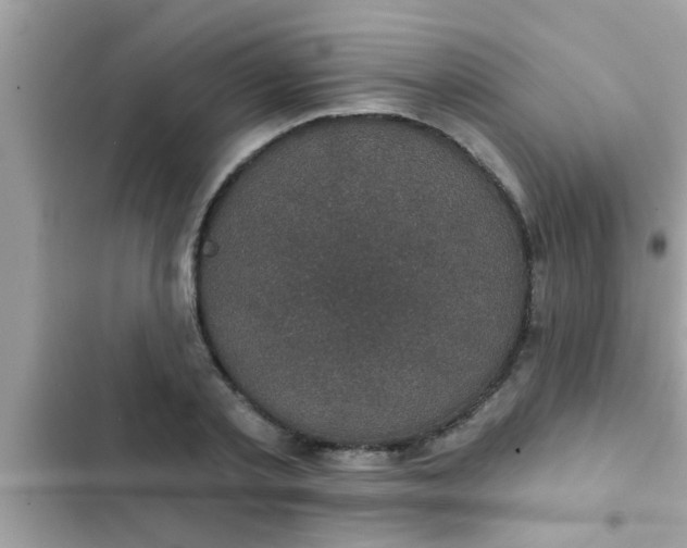 X0000102400789200808151942