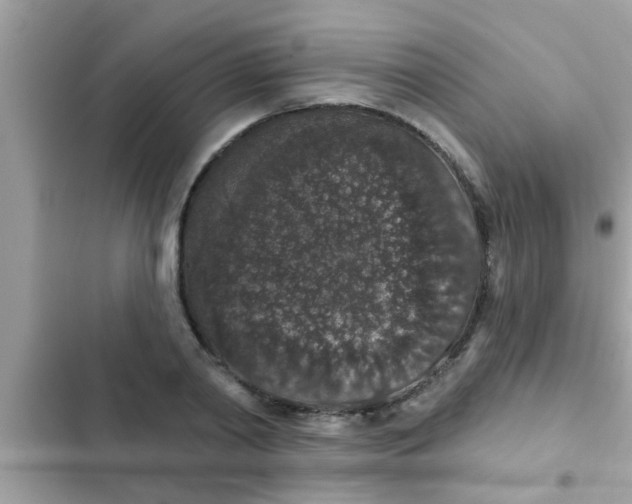 X0000102400790200808151942