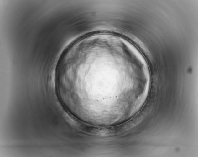 X0000102400791200808151942