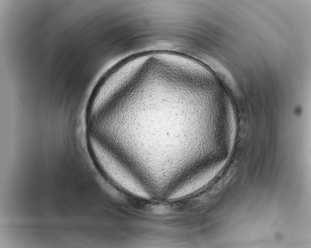 X0000102400792200808151942