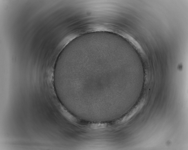 X0000102400793200808151942