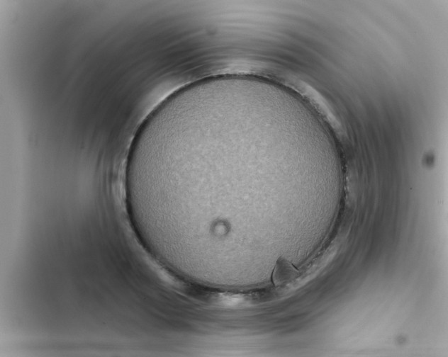 X0000102400794200808151942