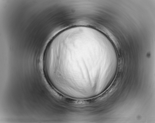 X0000102400795200808151942