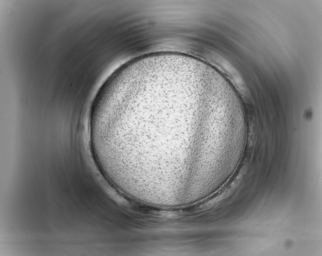 X0000102400796200808151942