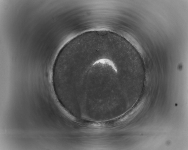 X0000102400797200808151942