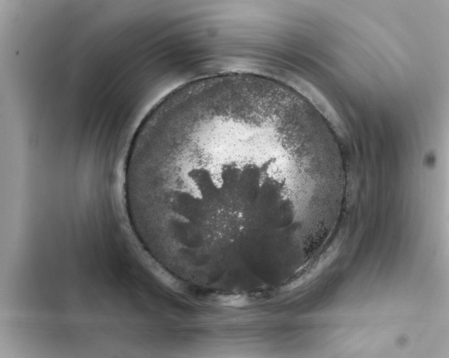 X0000102400798200808151942