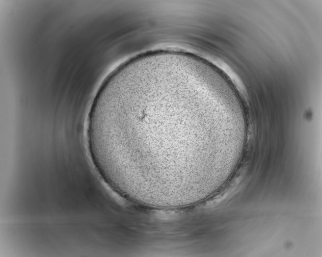 X0000102400799200808151942