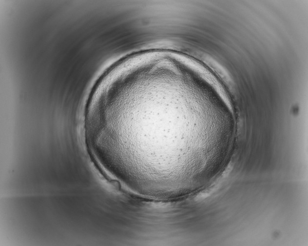 X0000102400800200808151942