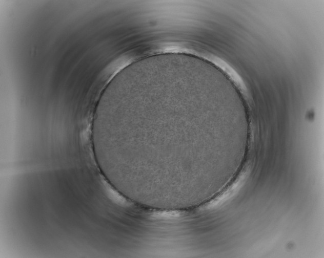 X0000102400801200808151942