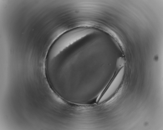 X0000102400802200808151942