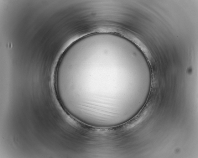 X0000102400803200808151942