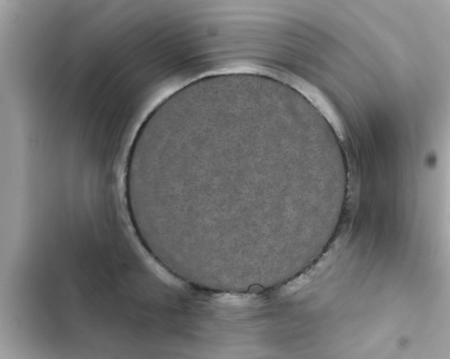 X0000102400805200808151942