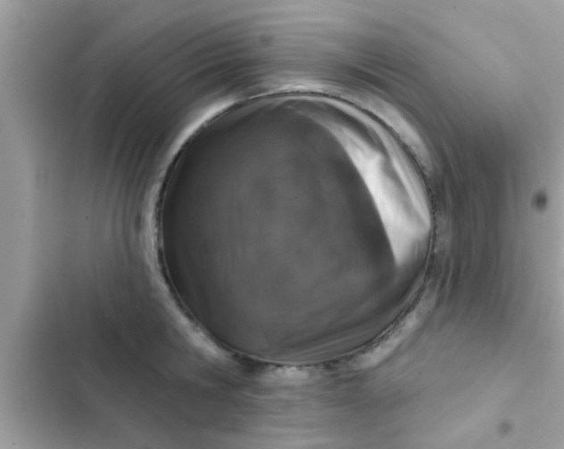 X0000102400806200808151942