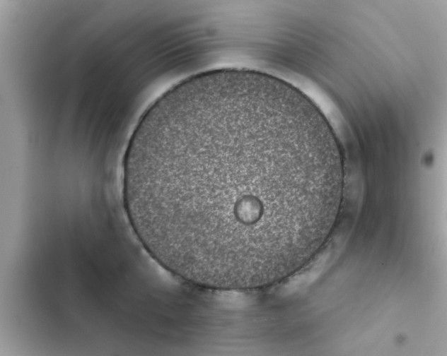 X0000102400807200808151942