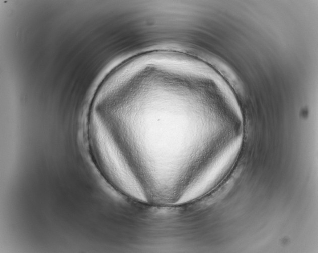 X0000102400808200808151942