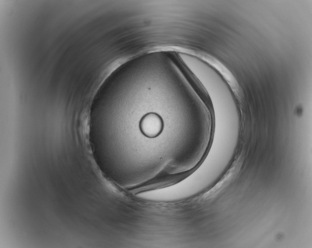 X0000102400809200808151942