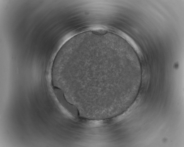 X0000102400810200808151942