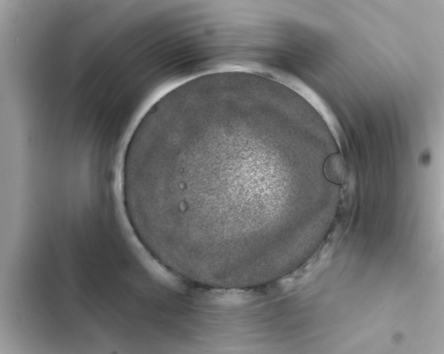 X0000102400811200808151942