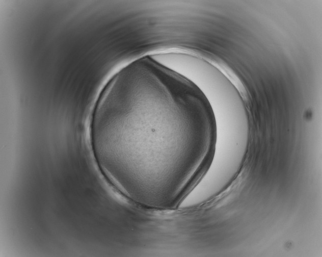 X0000102400813200808151941