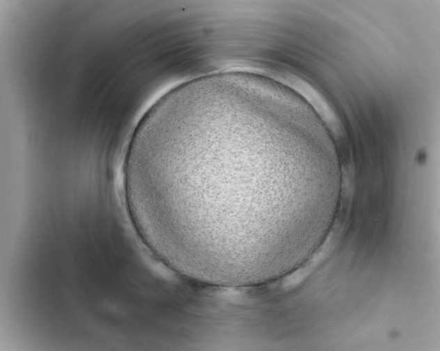 X0000102400814200808151941