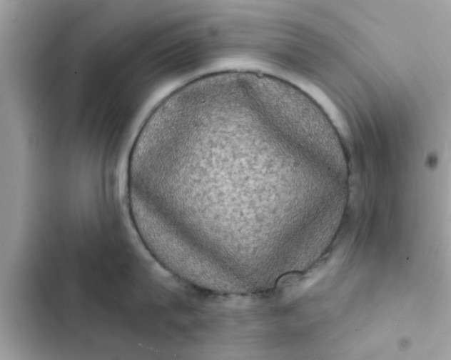 X0000102400815200808151941