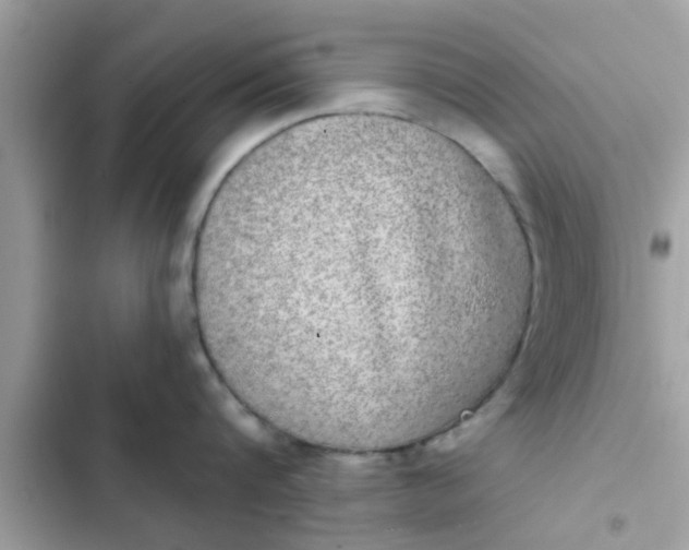 X0000102400816200808151941