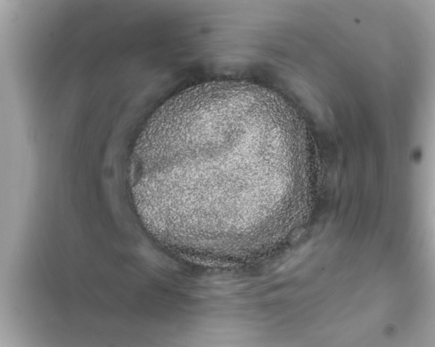 X0000102400817200808151941