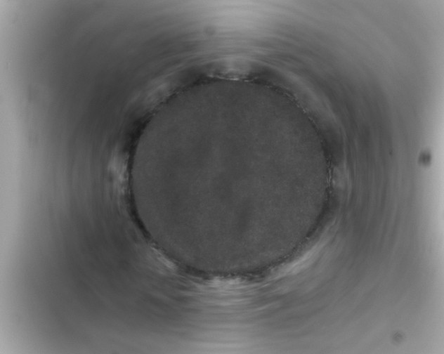 X0000102400818200808151941