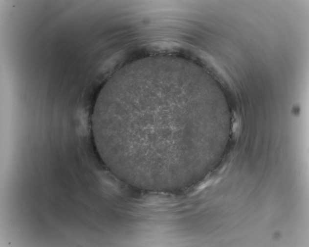 X0000102400819200808151941