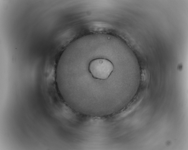 X0000102400820200808151941