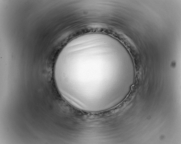 X0000102400821200808151941