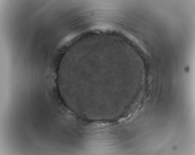 X0000102400822200808151941