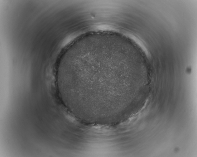 X0000102400823200808151941