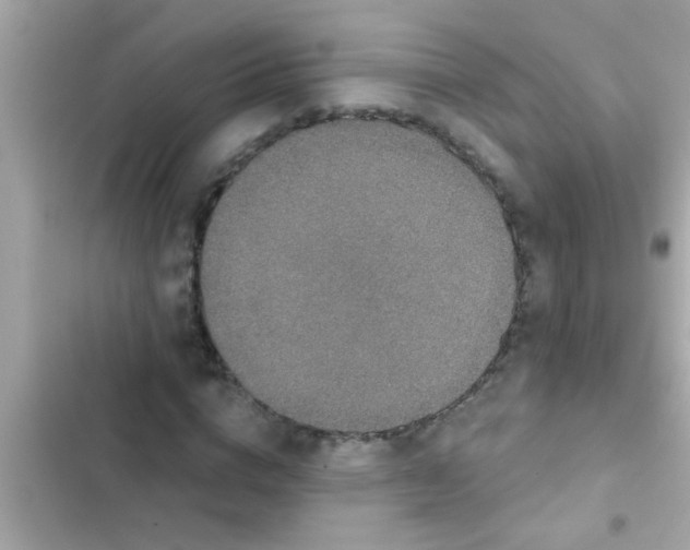 X0000102400824200808151941