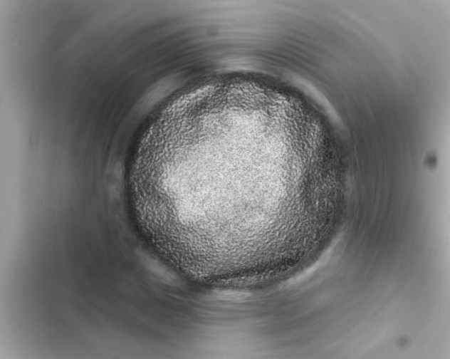 X0000102400825200808151941