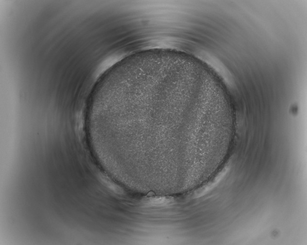 X0000102400826200808151941